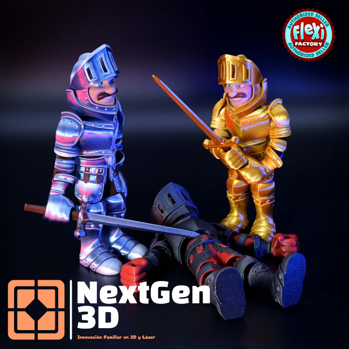 Caballero con Armadura Flexi 3D