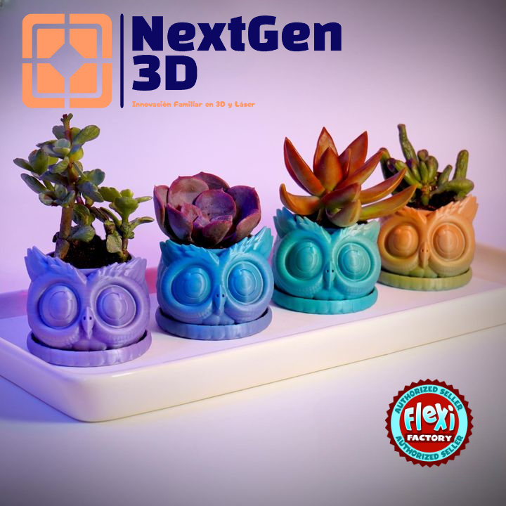 Búho Organizador 3D