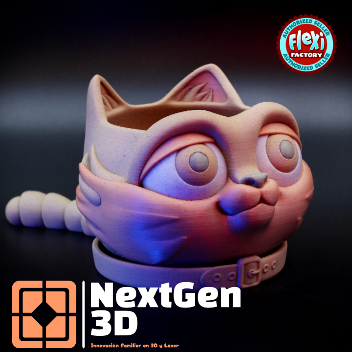 Gato Organizado 3D