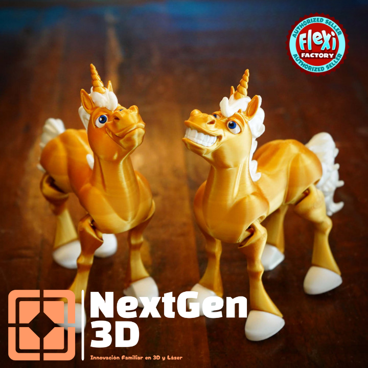 Pegaso Flexi 3D