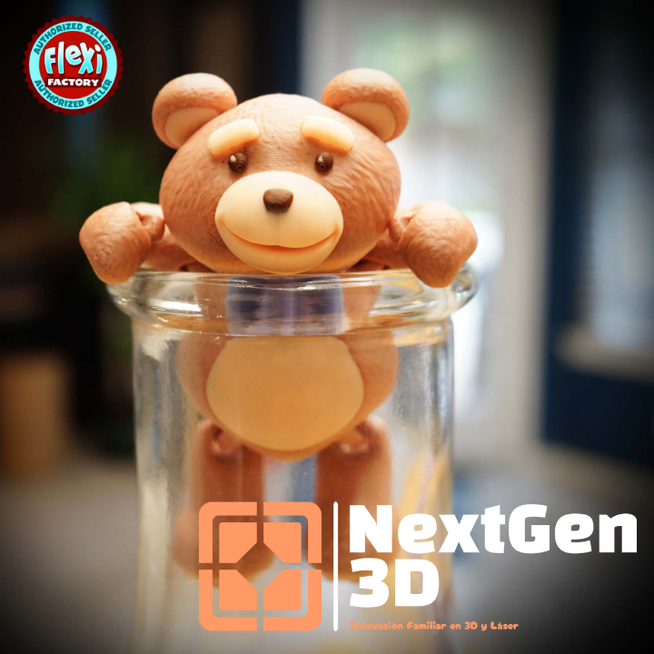 Osito Teddy Flexi 3D