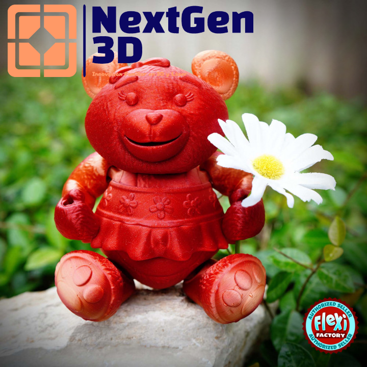Osito Teddy Flexi 3D